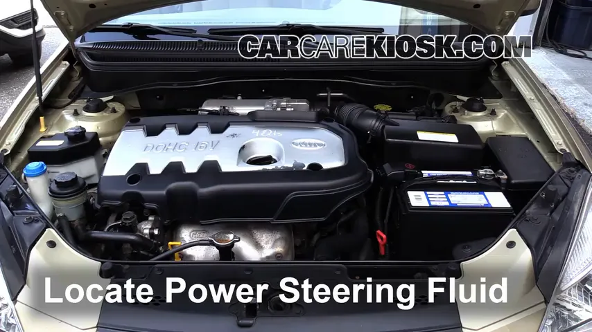 2006 Kia Rio 1.6L 4 Cyl. Power Steering Fluid
